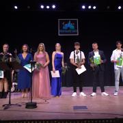 Landolinsanerkennungen und -preise